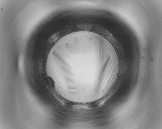 X0000088090765200706011603