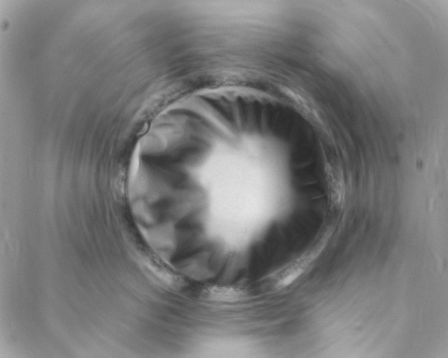 X0000088090766200706011603