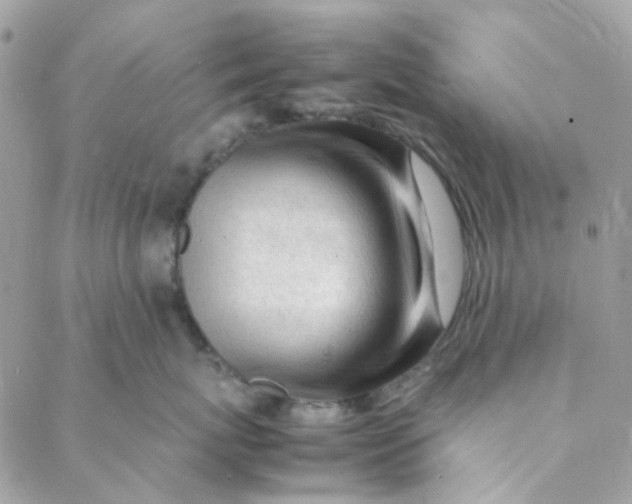 X0000088090767200706011603