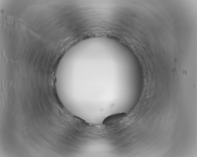 X0000088090768200706011603