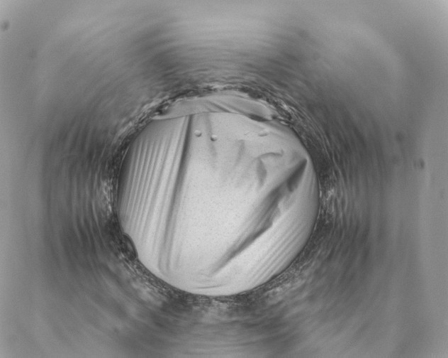 X0000088090772200706011603