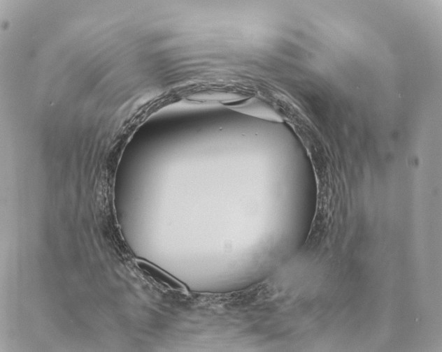 X0000088090773200706011603