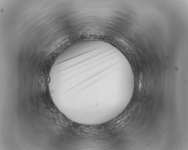 X0000088090774200706011603