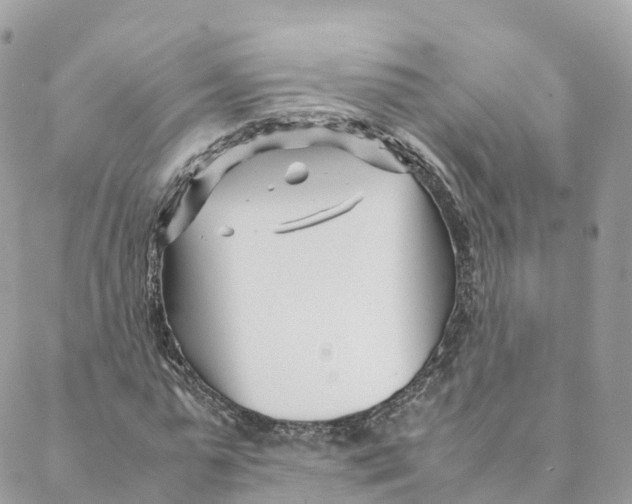 X0000088090775200706011602