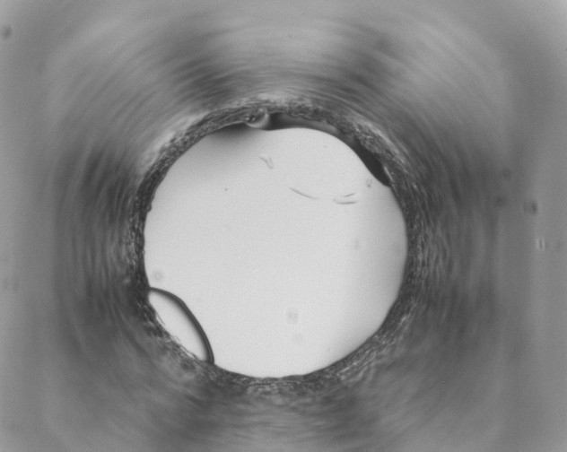 X0000088090776200706011602