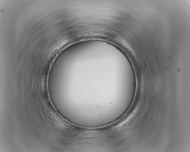 X0000088090777200706011602