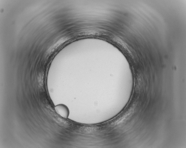 X0000088090778200706011602