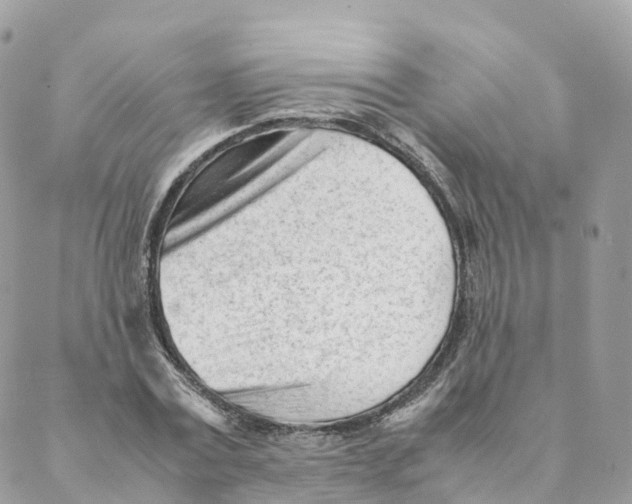 X0000088090779200706011602