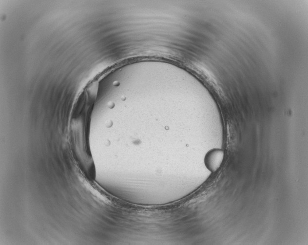 X0000088090780200706011602