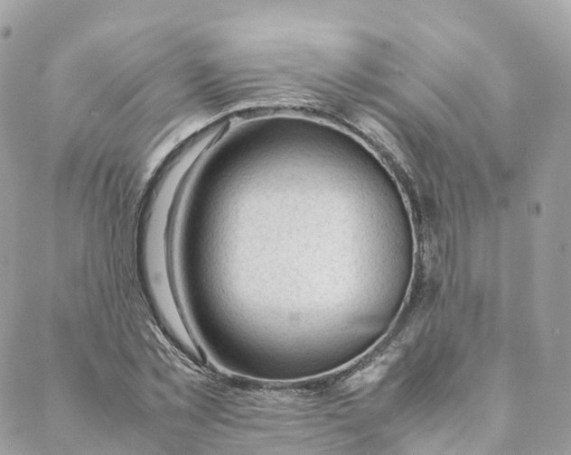 X0000088090781200706011602