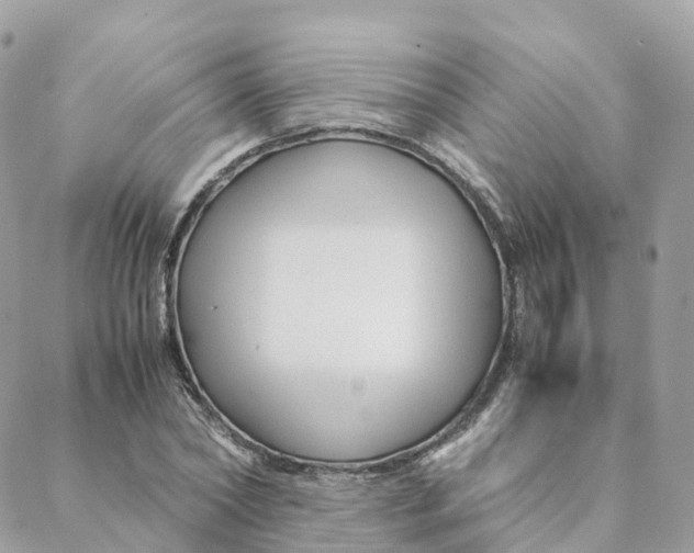 X0000088090782200706011602