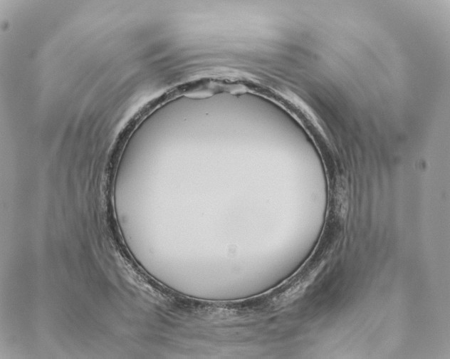 X0000088090783200706011602