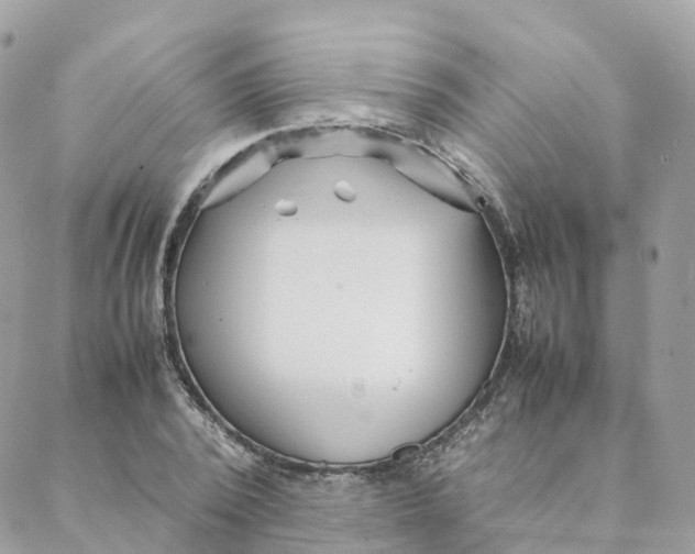 X0000088090784200706011602