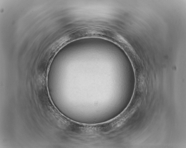 X0000088090785200706011602