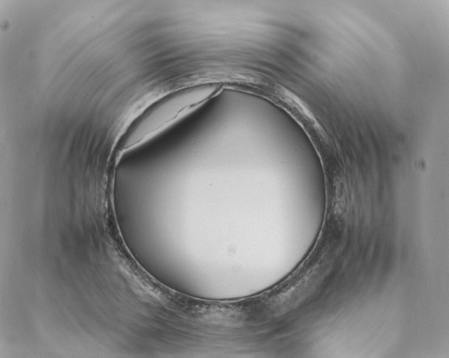 X0000088090786200706011602