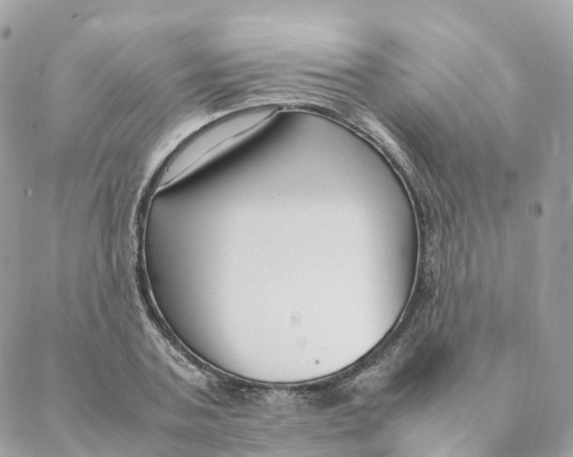 X0000088090787200706011602