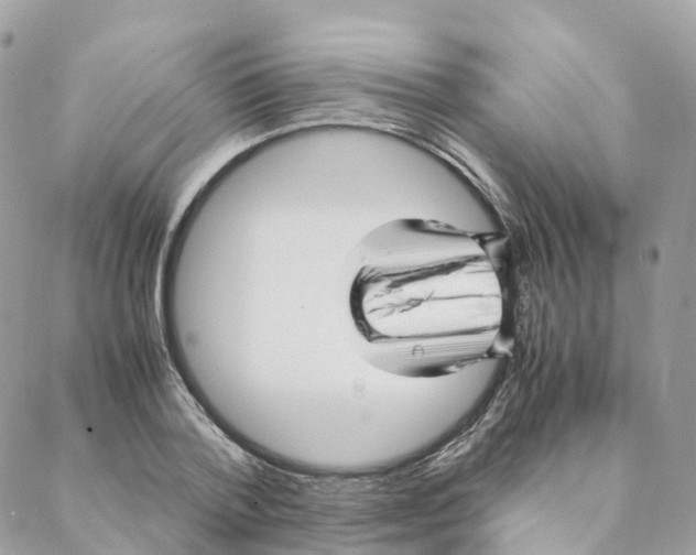 X0000088090788200706011602