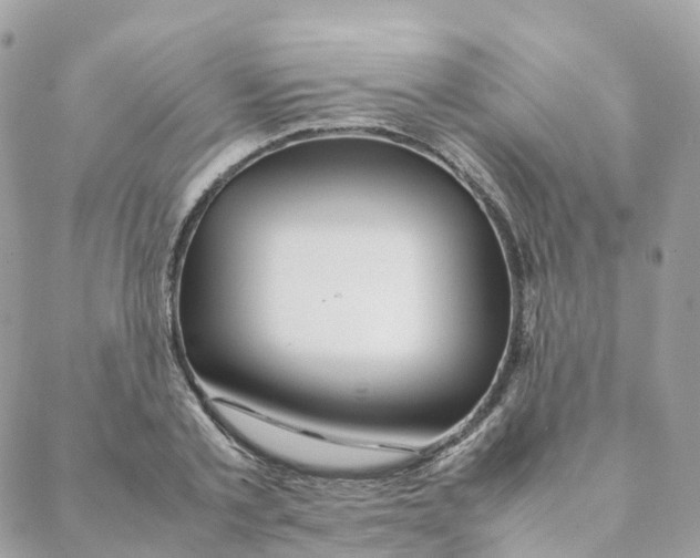 X0000088090789200706011602