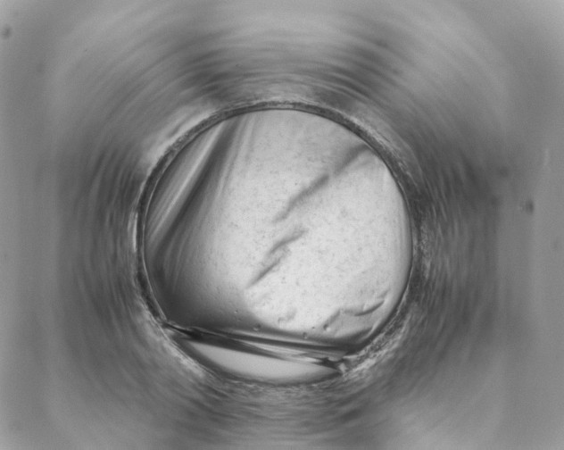 X0000088090790200706011602