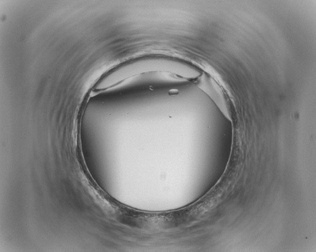 X0000088090791200706011602