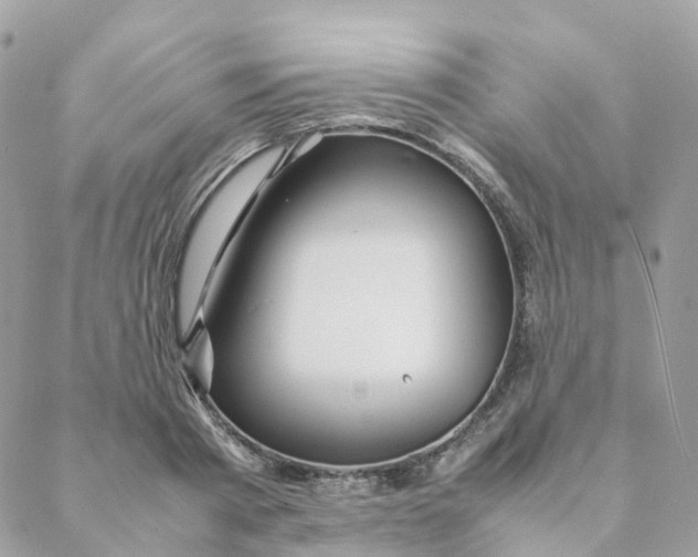 X0000088090793200706011602