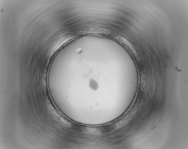 X0000088090794200706011602