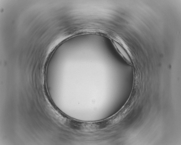 X0000088090795200706011602