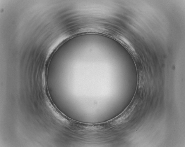 X0000088090796200706011602