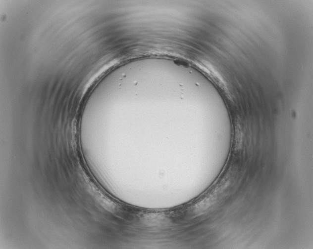 X0000088090798200706011602