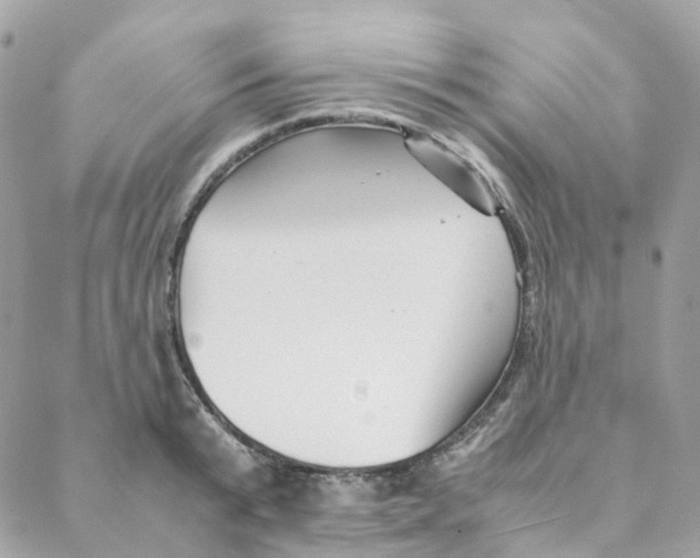 X0000088090799200706011602