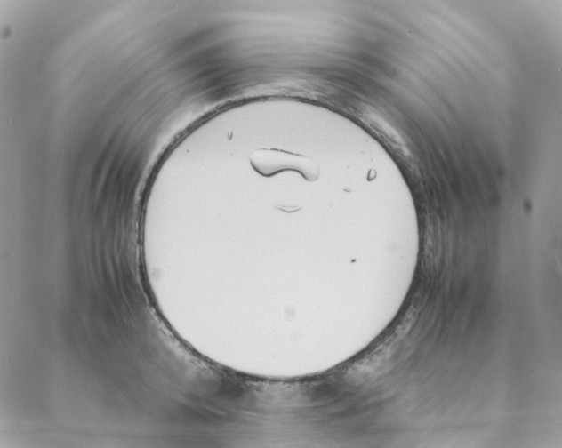 X0000088090800200706011602