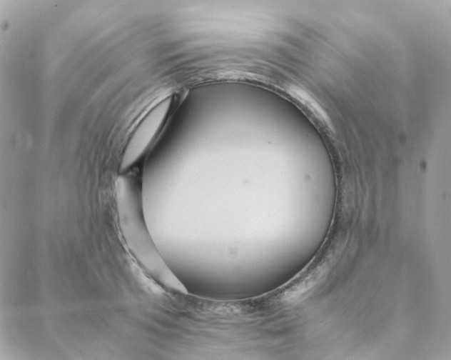 X0000088090801200706011602