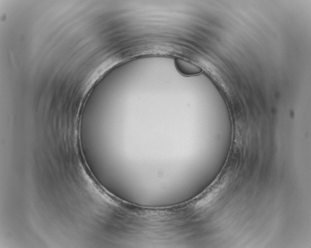 X0000088090802200706011602