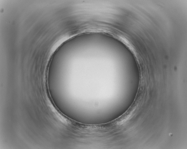 X0000088090803200706011602