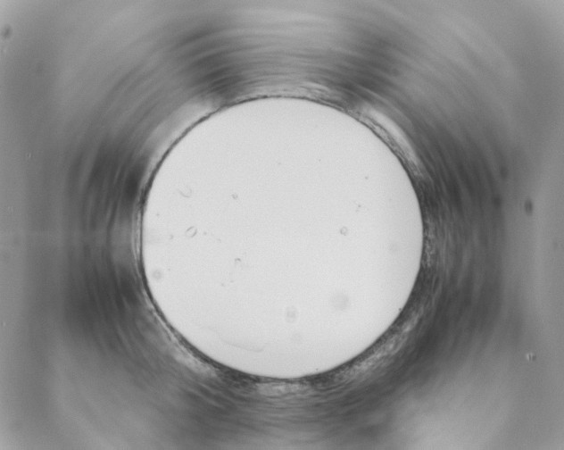 X0000088090804200706011602