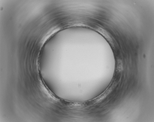 X0000088090806200706011602