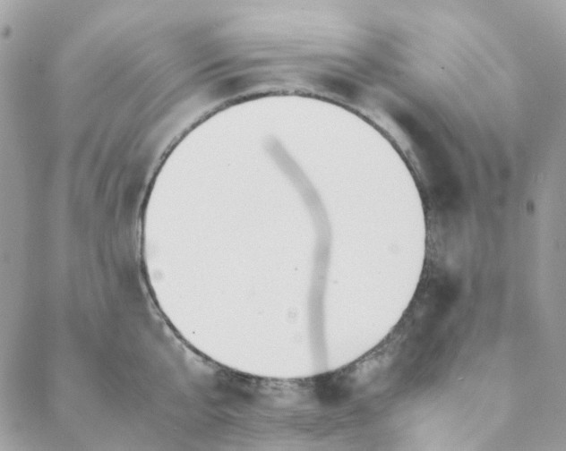 X0000088090807200706011602