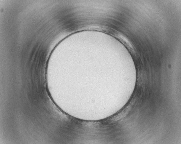 X0000088090808200706011602