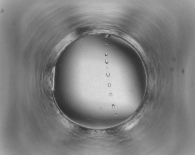 X0000088090809200706011602