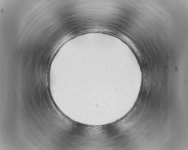 X0000088090810200706011602