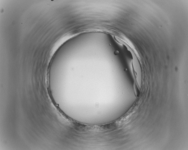 X0000088090811200706011602