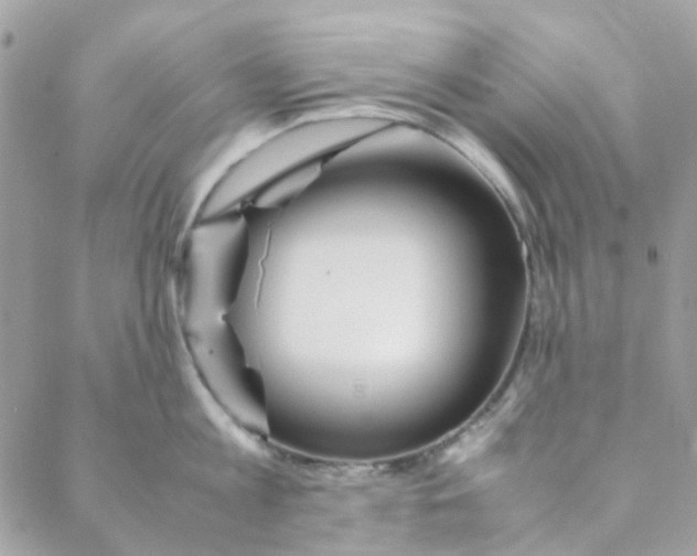 X0000088090813200706011602