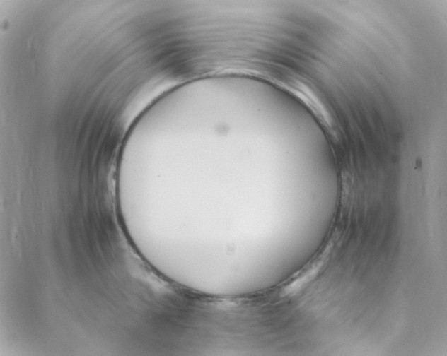 X0000088090814200706011602