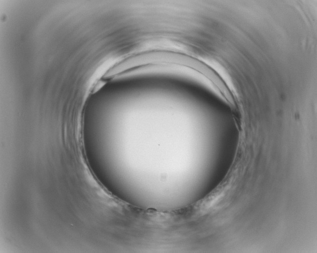 X0000088090815200706011602