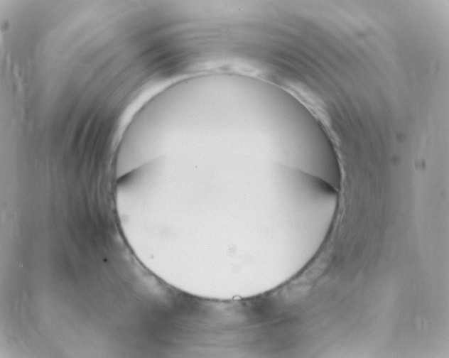 X0000088090816200706011602