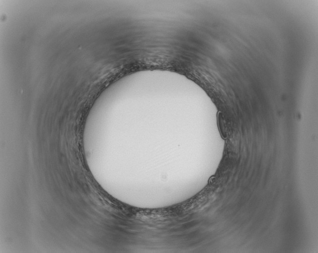 X0000088090817200706011601