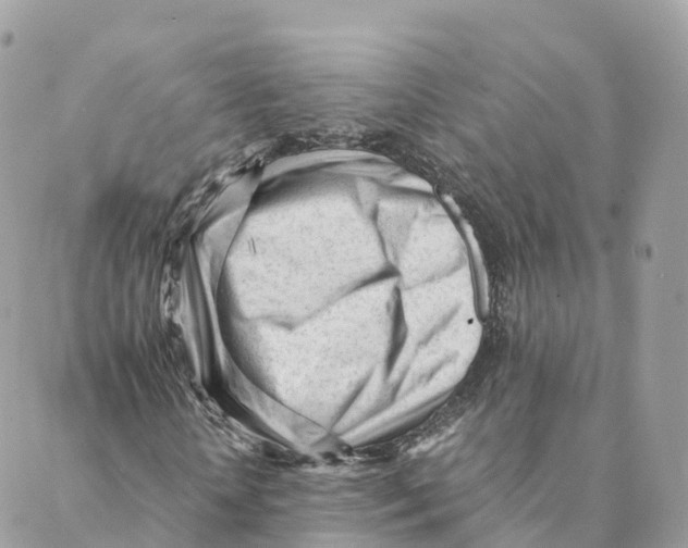 X0000088090818200706011601