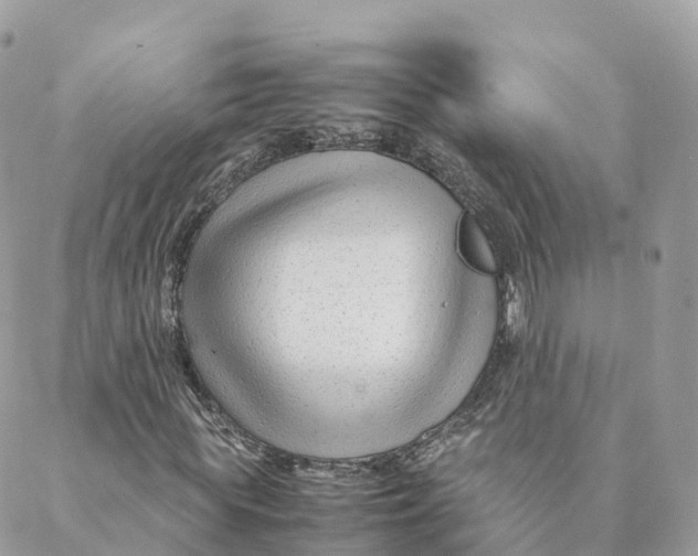 X0000088090819200706011601