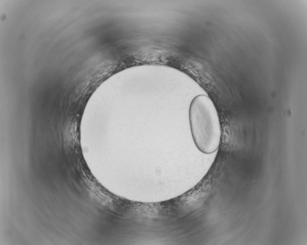 X0000088090820200706011601