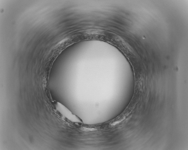 X0000088090821200706011601